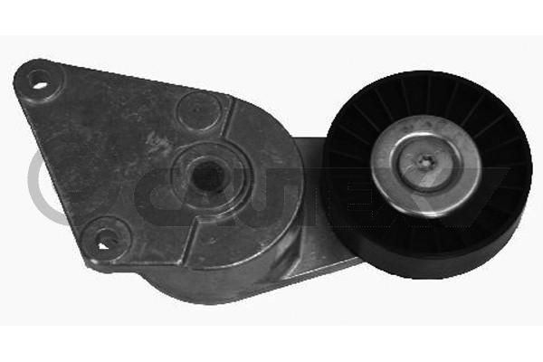 CAUTEX Braccio tenditore, Cinghia Poly-V 030972 030972 costo Tenditore cinghia servizi CAUTEX PEUGEOT 208