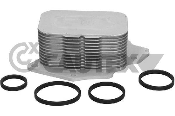 CAUTEX Engine oil cooler 031551 031551 CAUTEX oil cooler for FORD FIESTA