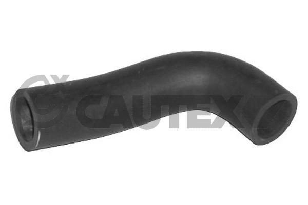 CAUTEX Tuyau d'huile 036395 036395 Tuyau d'huile PEUGEOT 307 CAUTEX