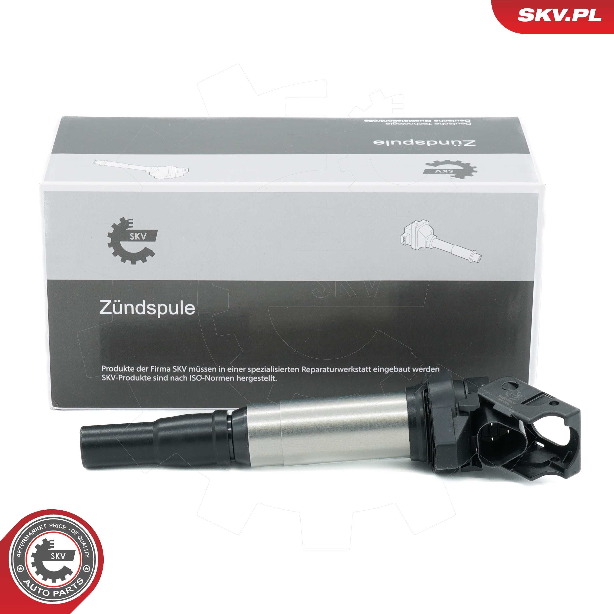 ESEN SKV Zapaľovacia cievka 03SKV206 ESEN SKV 03SKV206 Jednotka zapaľovacích cievok Wraith cena