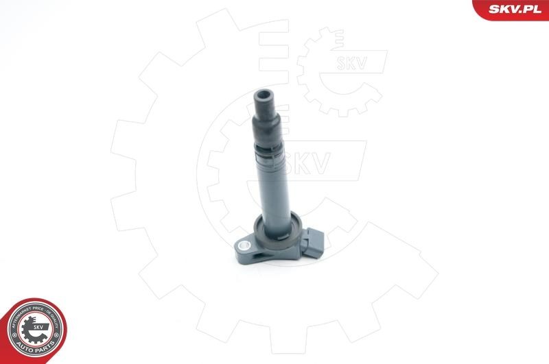 ESEN SKV Πολλαπλασιαστής 03SKV264 ESEN SKV 03SKV264 Πολλαπλασιαστής LS IV (XF40) τιμες