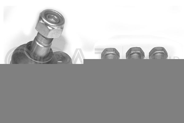 OCAP Testina braccio oscillante 0403875 0403875 Testina braccio oscillante OCAP NISSAN LEAF costo