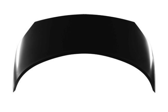 ABAKUS Motorhaube 042-12-100 ABAKUS 042-12-100 Motorhaube RENAULT Scénic II (JM) 1.6 Hi-Flex (JA15, JA2B, JA2C) 116 PS 2006