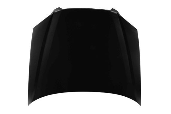 ABAKUS Kapota 049-09-100 ABAKUS 049-09-100 Predna kapota Citroën ZX originálne