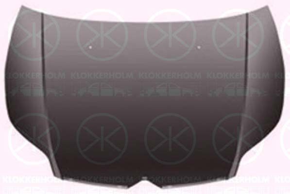 KLOKKERHOLM Konepelti 0537282A1 0537282A1 KLOKKERHOLM Konepelti CITROЁN C25