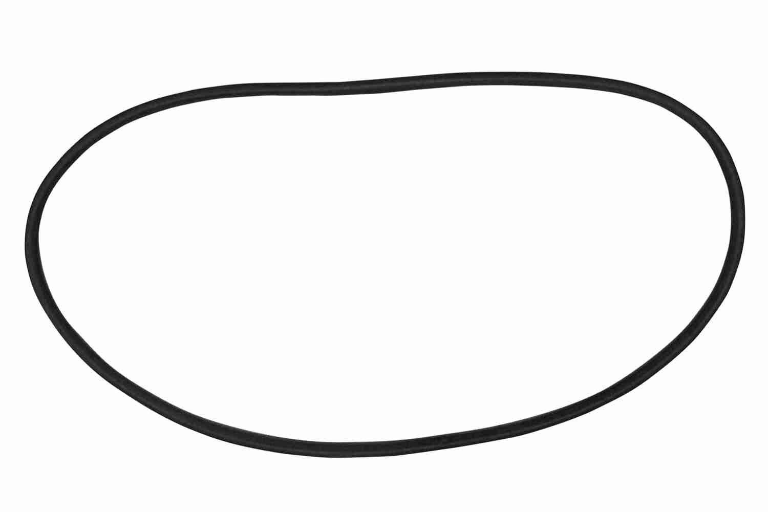 VAICO Windschutzscheiben-Dichtung V10-0889 V10-0889 Fensterdichtung VAICO CHEVROLET TRAX