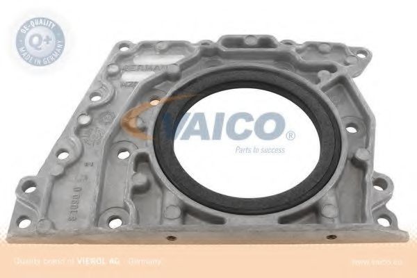 VAICO Paraolio valvole V10-9782 V10-9782 Paraoli guida valvole VAICO Nissan