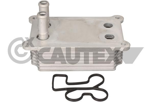 CAUTEX Moottoriöljyn jäähdytin 081287 081287 CAUTEX Öljynlauhdutin FORD