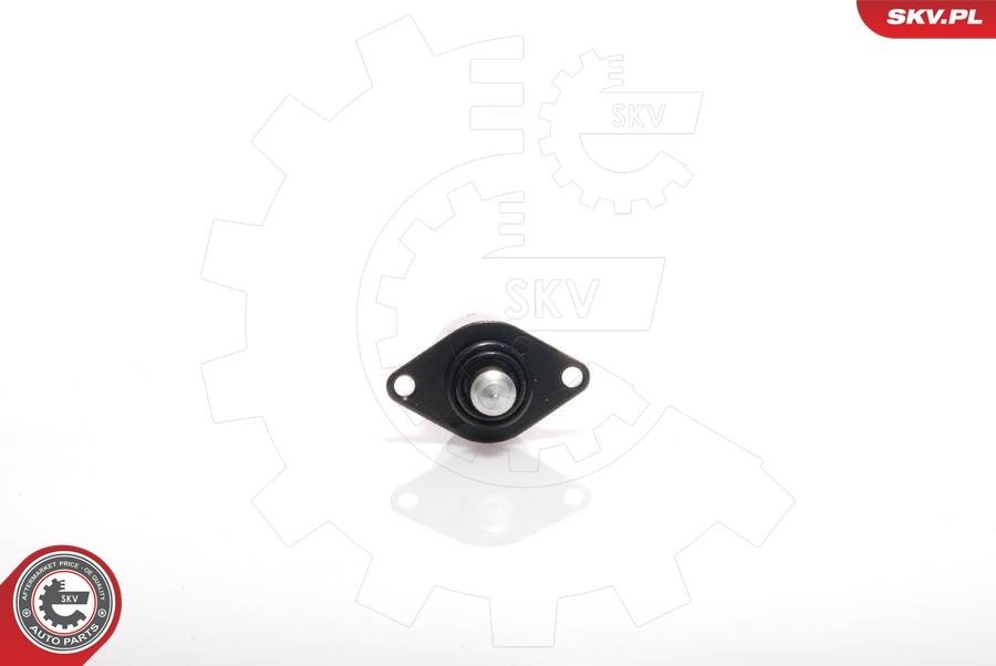 Tomgångsventil ESEN SKV 08SKV008 ESEN SKV 08SKV008: Tomgångsventil Fiat PANDA 2001