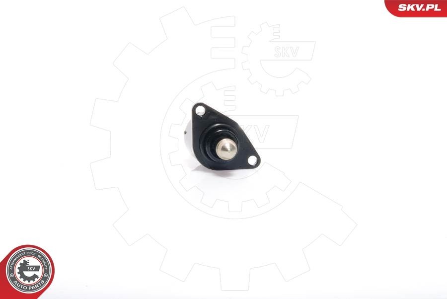 ESEN SKV Válvula de regulação do ralenti, alimentação de ar 08SKV012 Valvula de control de marcha lenta ESEN SKV Citroën BERLINGO 08SKV012