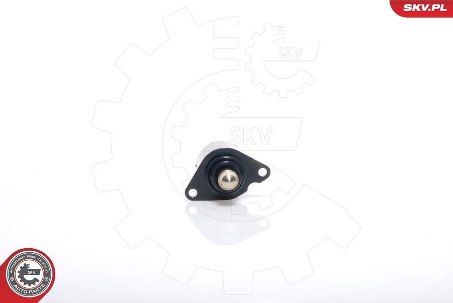 ESEN SKV Tomgångsventil 08SKV017 08SKV017 ESEN SKV ventil sekundärluftspumpsystem Peugeot BOXER