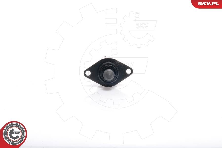 Tomgang reguleringsventil, luftforsyning ESEN SKV 08SKV033 ESEN SKV 08SKV033: Tomgangsregulator Citroen JUMPER 2018