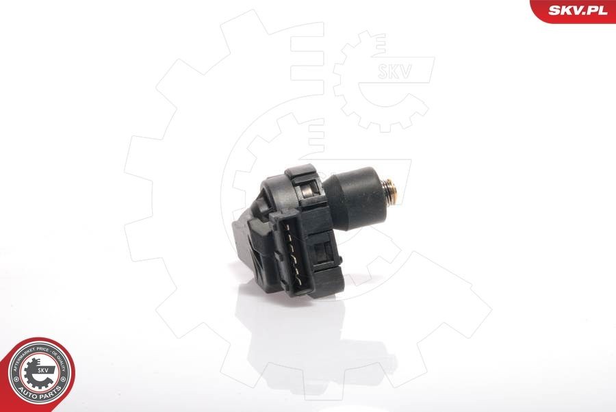 ESEN SKV Stationaire regelklep 08SKV201 ESEN SKV 08SKV201 Stationaire regelklep VW Multivan T5 goedkoop