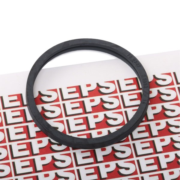 EPS Gasket, thermostat 1.890.553 EPS 1.890.553 OPEL MONZA thermostat gasket replacement