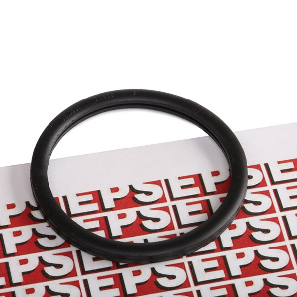 EPS Tiiviste, termostaatti 1.890.568 EPS 1.890.568 Tiiviste, termostaatti RENAULT Clio IV Van 1.2 16V (BHMK) 73 hv 2017