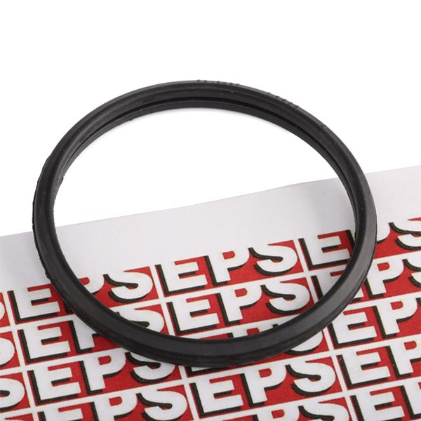 EPS Gasket, thermostat 1.890.569 EPS 1.890.569 HiAce II coolant circuit seals price