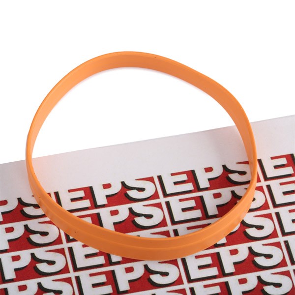 EPS Gasket, thermostat 1.890.631 1.890.631 EPS thermostat gasket for RENAULT TRAFIC