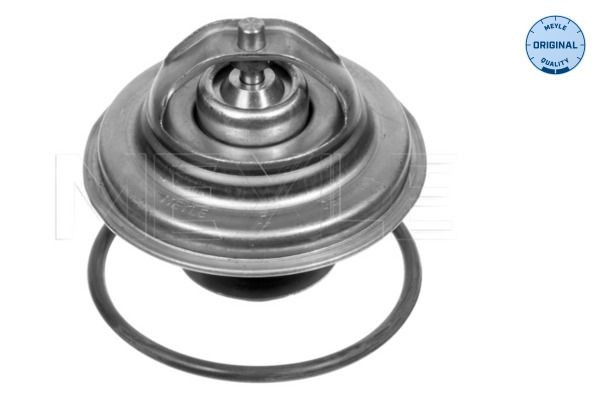 MEYLE Palier de guidage, embrayage 100 105 0004 100 105 0004 Palier de guidage embrayage FORD USA WINDSTAR MEYLE