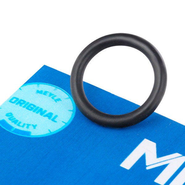 MEYLE Guarnizione, Flangia refrigerante 100 121 0095 Costo Guarnizione, flangia refrigerante MEYLE ABARTH 100 121 0095