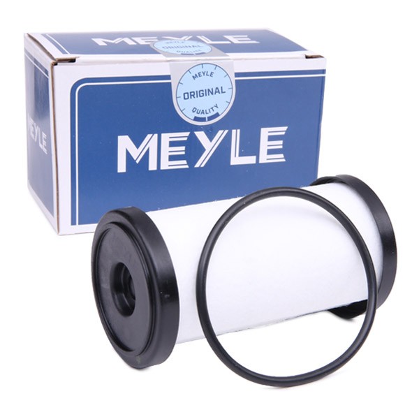 MEYLE Hydraulikfilter, automatisk gearkasse 100 136 0003 Automatfilter MEYLE ALTEA 100 136 0003 billig