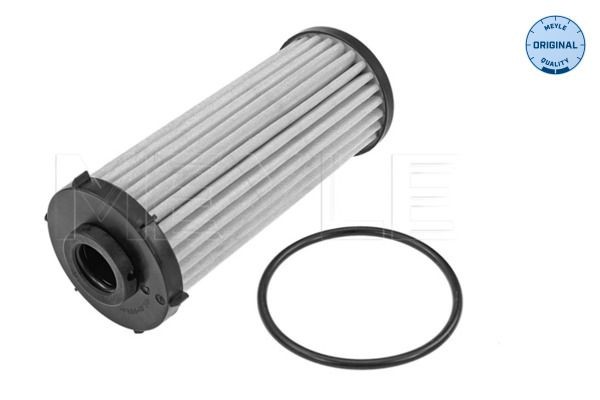 MEYLE Hydraulikfilter, Automatikgetriebe 100 136 0004 100 136 0004 Getriebe Filter MEYLE CUPRA Kosten