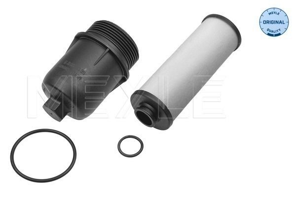 MEYLE Kit filtro idraulico, Cambio automatico 100 137 1003 100 137 1003 costo Filtro cambio automatico MEYLE RENAULT LAGUNA