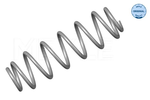 MEYLE Coil spring 100 739 0013 100 739 0013 MEYLE coil springs SEAT