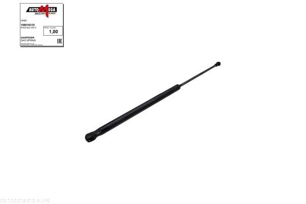 AUTOMEGA Ammortizzatore pneumatico cofano motore 100016310 AUTOMEGA 100016310 Ammortizzatori cofano VW Polo 4 originale prezzo