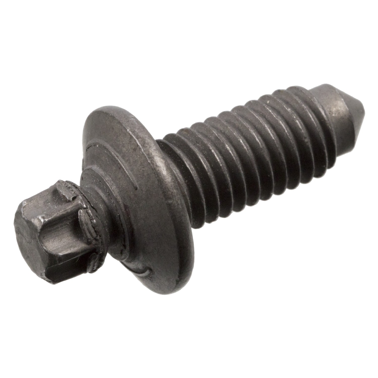 FEBI BILSTEIN Skrūve 101007 FEBI BILSTEIN 101007 Skrūve