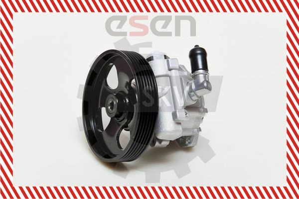 ESEN SKV Roolivõimu pump 10SKV009 10SKV009 Roolivõimendi pump ESEN SKV PEUGEOT 308