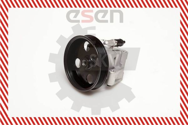 ESEN SKV Stūres pastiprinātāja sūknis 10SKV050 ESEN SKV 10SKV050 Stūres pastiprinātāja sūkņi FIAT 124 cena