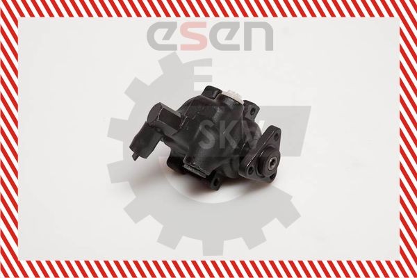 ESEN SKV Pompa idraulica, sterzo 10SKV056 ESEN SKV 10SKV056 Pompa servosterzo Ford Escort MK7 Cabrio originali prezzo