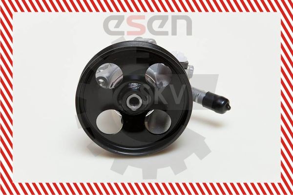 ESEN SKV Servopumpe 10SKV060 pris Styreservopumpe Peugeot 3A/C 10SKV060 ESEN SKV