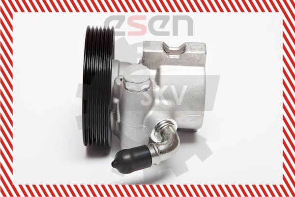 ESEN SKV Stūres pastiprinātāja sūknis 10SKV062 ESEN SKV 10SKV062 Stūres pastiprinātāja sūkņi Citroën Xsara N1 lēti