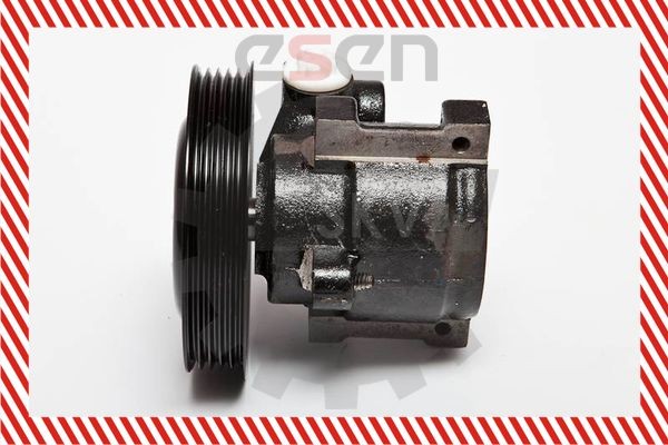 ESEN SKV Pompa idraulica, sterzo 10SKV065 ESEN SKV 10SKV065 Pompa servosterzo Ford Escort MK7 Cabrio prezzo