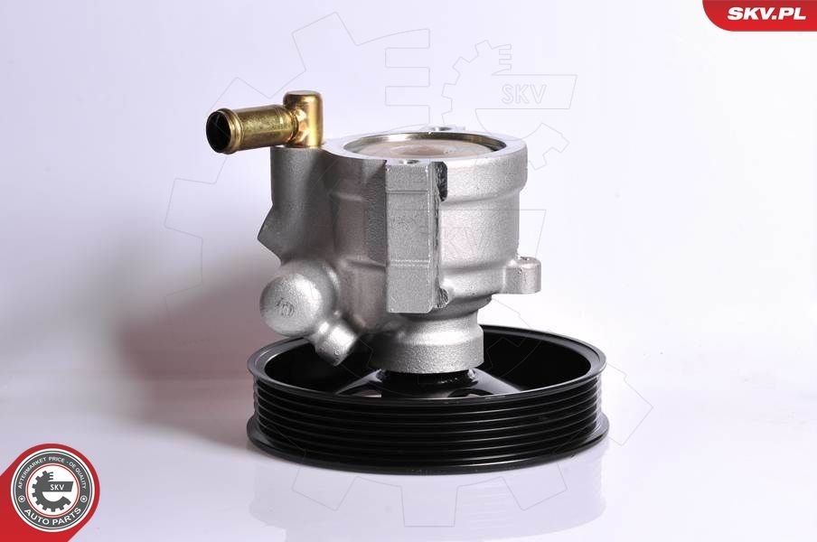 ESEN SKV Servopumpe 10SKV083 Servopumpe ESEN SKV OMEGA 10SKV083 billig