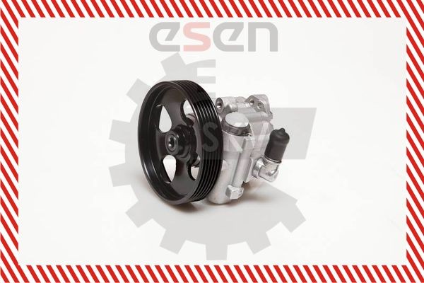 Stuurbekrachtigingspomp ESEN SKV 10SKV100 ESEN SKV 10SKV100: Servopomp Lancia PHEDRA 2010