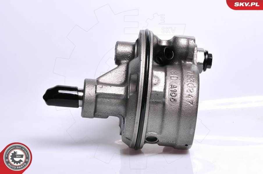 Servopumpe ESEN SKV 10SKV128 ESEN SKV 10SKV128: Hydraulikpumpe Chrysler GRAND VOYAGER 2018