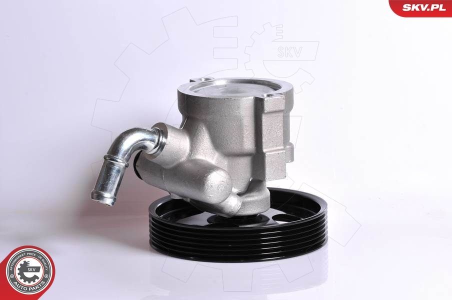 Pompa idraulica, sterzo ESEN SKV 10SKV163 ESEN SKV 10SKV163 Pompa servosterzo Peugeot 207 2006