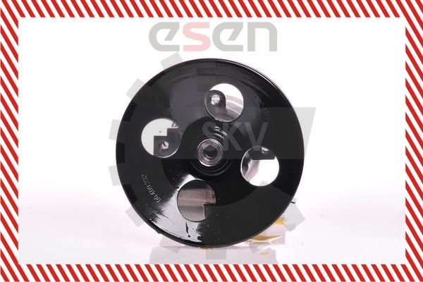 ESEN SKV Ohjaustehostimen pumppu 10SKV164 10SKV164 ESEN SKV Ohjaustehostimen pumppu Opel ANTARA hinta
