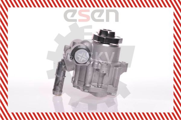 ESEN SKV Servopumpe 10SKV166 ESEN SKV 10SKV166 New Beetle Cabrio Servopumpe pris