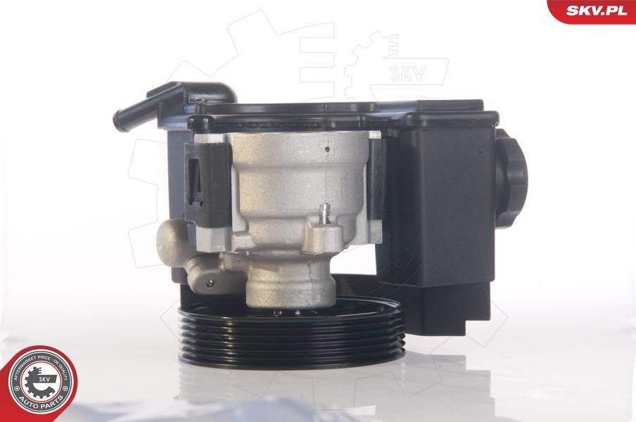 ESEN SKV Servo čerpadlo 10SKV171 ESEN SKV 10SKV171 Servo čerpadlo Citroen Xsara Kombi lacné