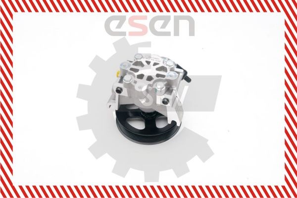 Servopumpe ESEN SKV 10SKV188 ESEN SKV 10SKV188 Hydraulikkpumpe Ford TRANSIT CONNECT 2019