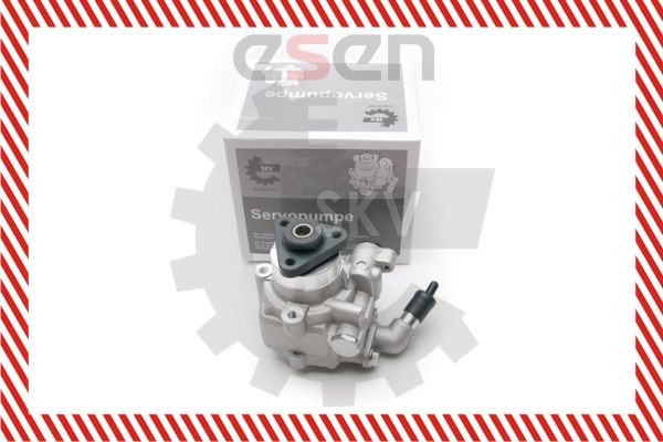 Servopumpe ESEN SKV 10SKV193 ESEN SKV 10SKV193 Hydraulikkpumpe Volkswagen AMAROK 2018