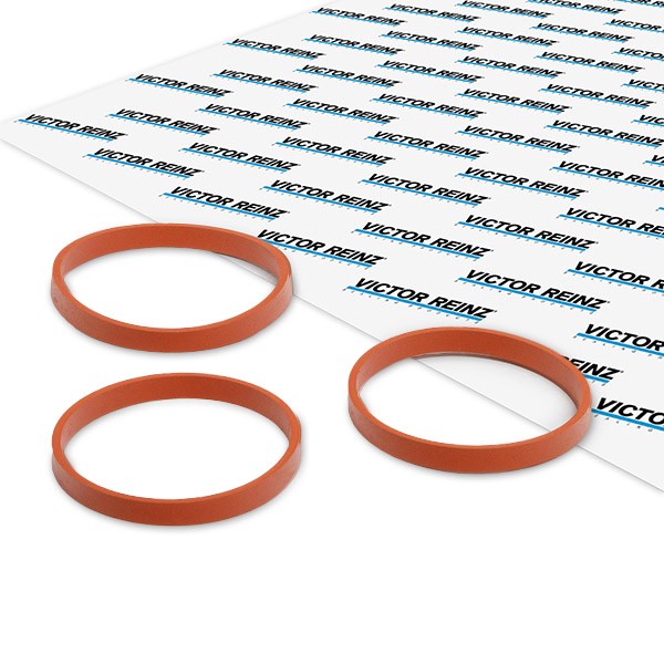 REINZ Gasket Set, intake manifold 11-11551-01 REINZ 11-11551-01 TOYOTA Hilux V Pickup intake manifold gasket replacement
