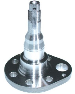 AUTOMEGA Achszapfen 110043410 110043410 AUTOMEGA Achsschenkel FORD Kosten