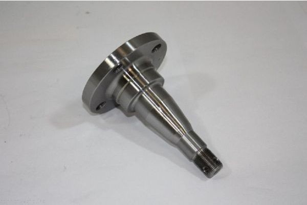 AUTOMEGA Achszapfen 110178210 110178210 AUTOMEGA FORD Achsschenkel vorne und hinten