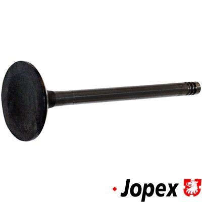 JP GROUP Βαλβίδα εξαγωγής 1111307300 Βαλβίδα εξαγωγής JP GROUP Σειρά 5 1111307300 φθηνά