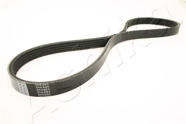 ASHIKA Serpentine belt 112-5PK885 MAZDA 3 ASHIKA serpentine belt 1125PK885