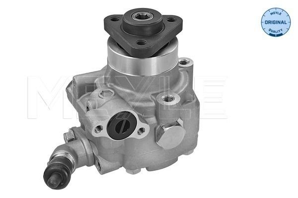 MEYLE Power steering pump 114 631 0039 Volkswagen GOLF MEYLE power steering pump 1146310039